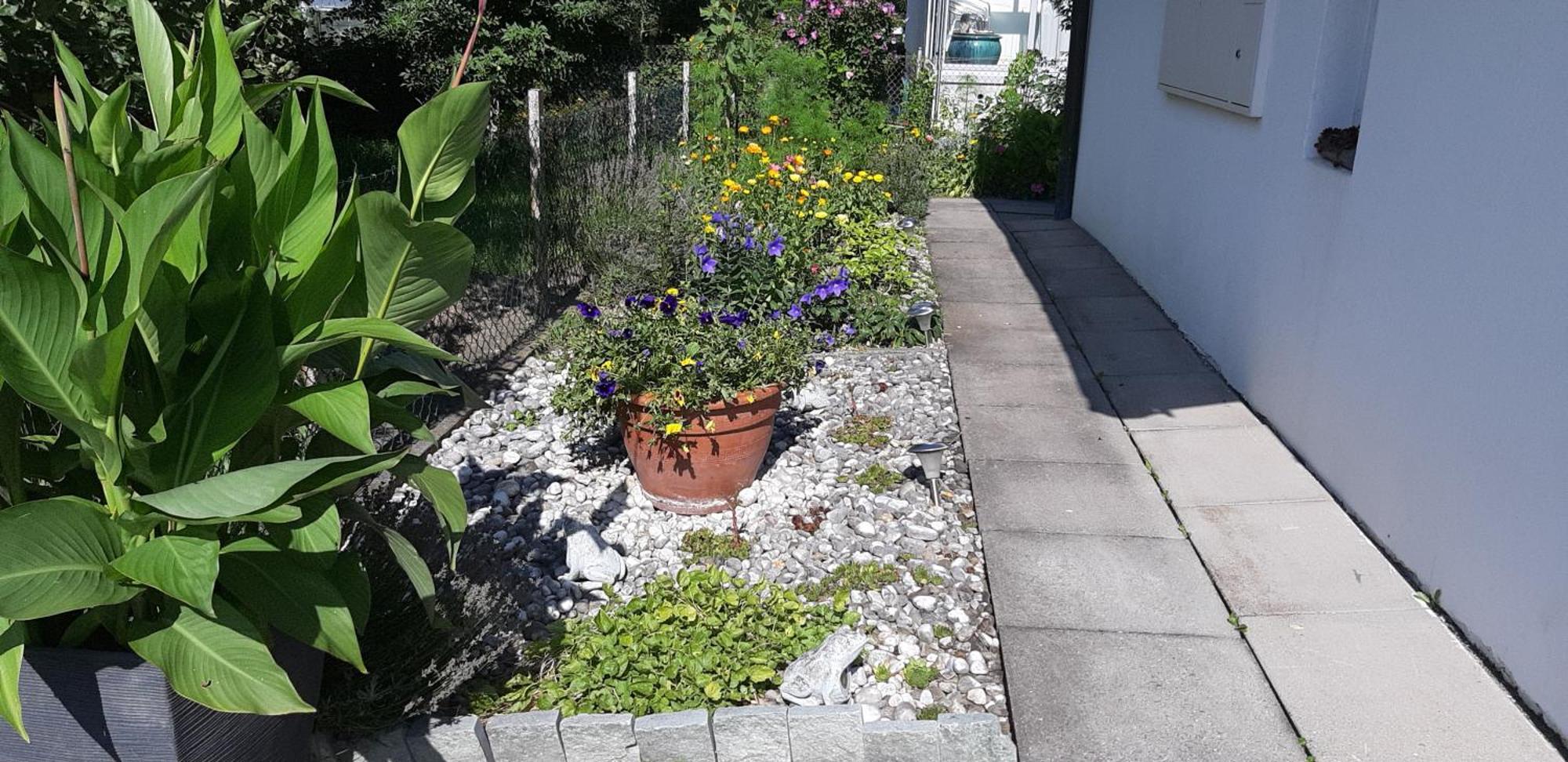 Studio In Domat Ems Szoba fotó